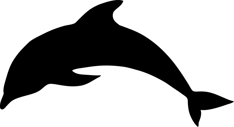 دلفین